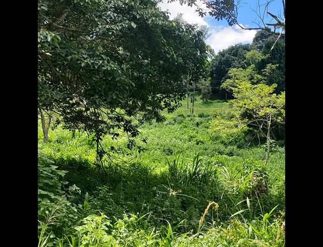 6,000M² VACANT LAND FOR SALE IN CLIFTON PARK